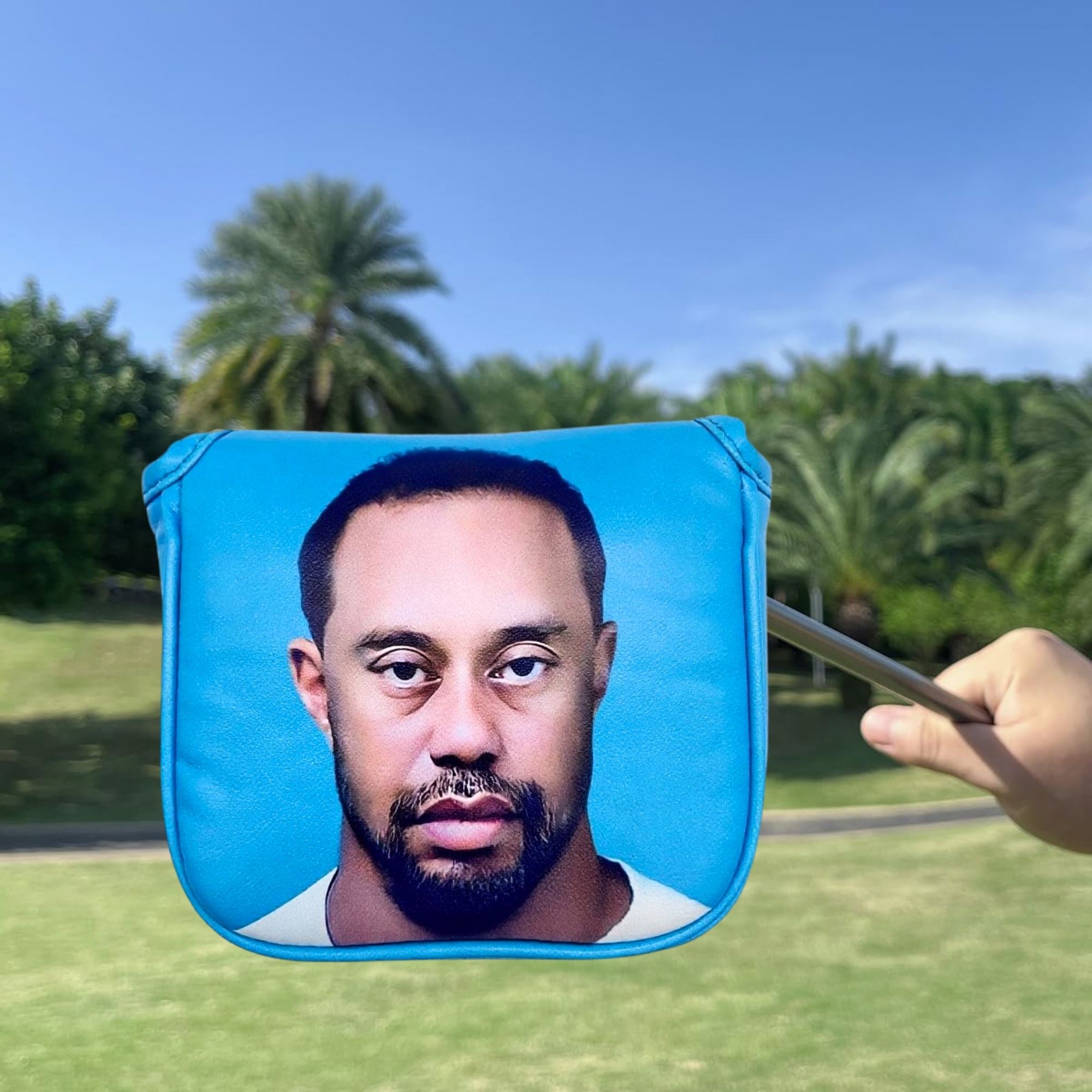 Funny Golf Mallet Putter Head  - Women Accessories To Gift 评论和价格
